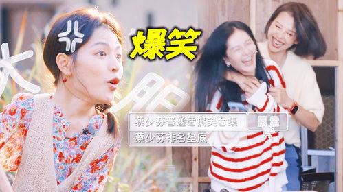 吃瓜吐槽娱乐圈的小说