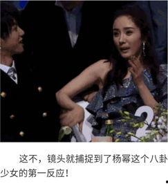 明星八卦娱乐吃瓜视频大全,明星八卦娱乐吃瓜视频大盘点